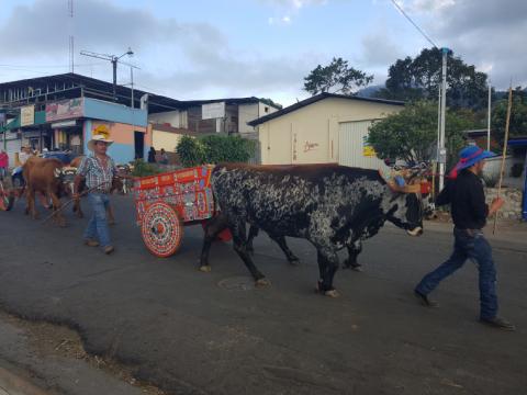 Día del Boyero - Marzo - 2019 Día del Boyero - Marzo - 2019