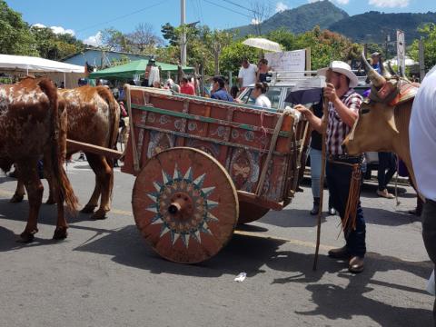 Día del Boyero - Marzo - 2019 Día del Boyero - Marzo - 2019