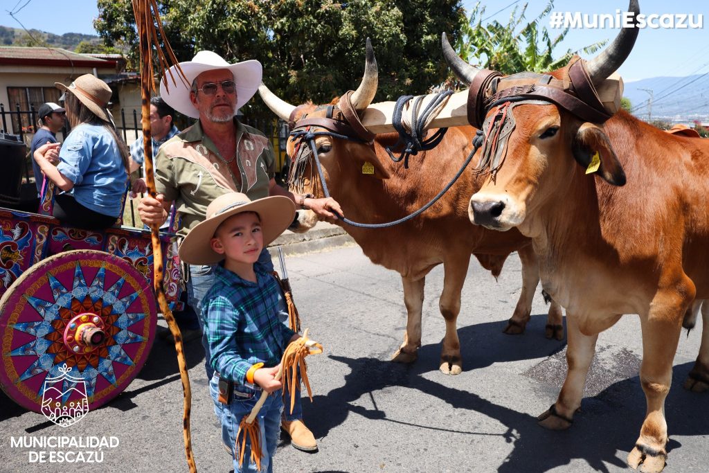 ¡Escazú se vistió de tradición en el Día Nacional del Boyero!