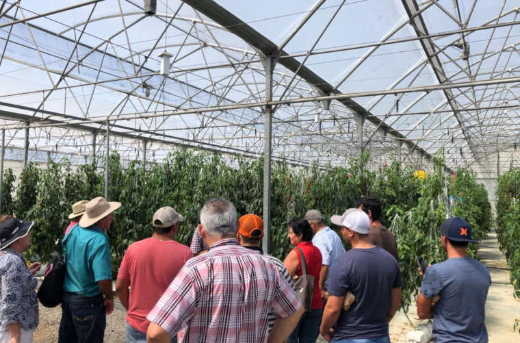 Proyecto de nuevos invernaderos para agricultores escazuceños - Octubre - 2019