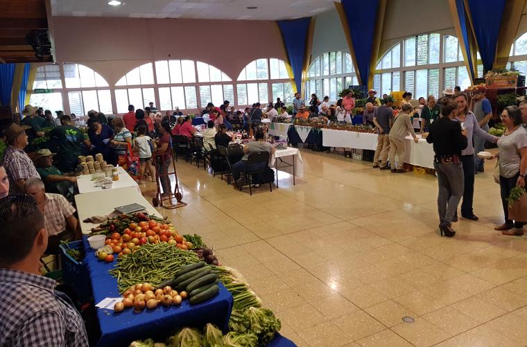 <em>Editar Noticia</em> Los miércoles en Escazú, tienen sabor a comunidad <em>Editar Noticia</em> Los miércoles en Escazú, tienen sabor a comunidad