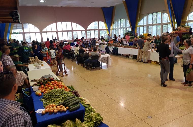 <em>Editar Noticia</em> Los miércoles en Escazú, tienen sabor a comunidad