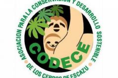 Crear Empresa