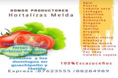 Crear Empresa