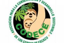 Crear Empresa
