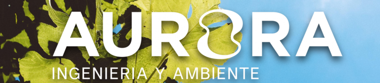 Crear Empresa