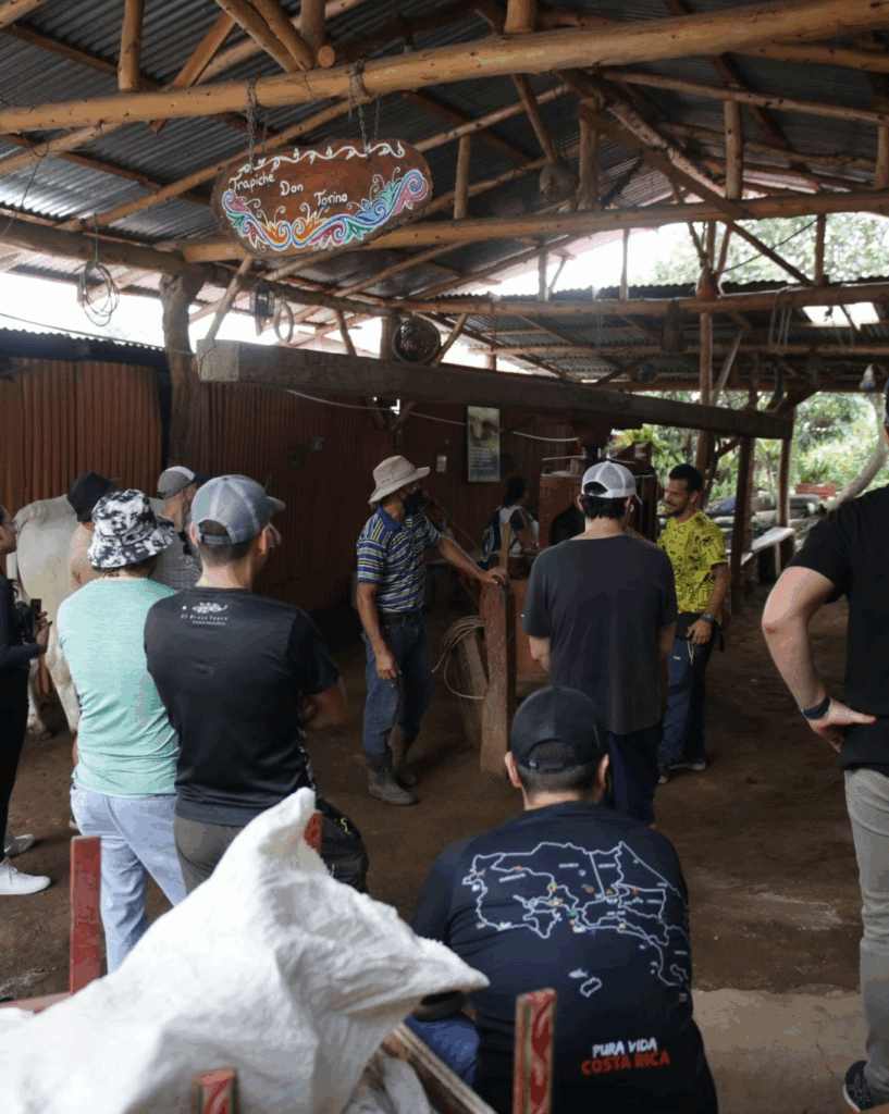 El Trapiche de Don Torino