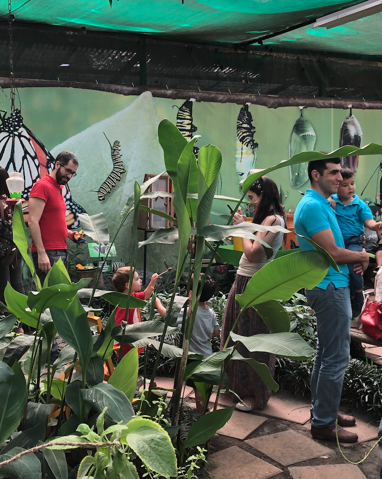 Mariposario Butterfly Kingdom
